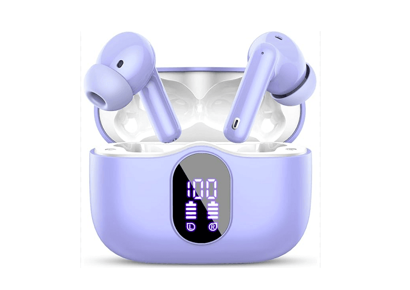 Cloud Nest T730D True Wireless Earbuds User Manual