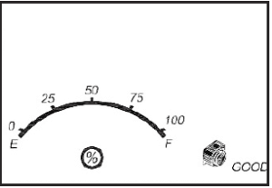 EverStart Maxx BC40BE 40 Amp Automotive Bench Battery Charger User Guide-11th post