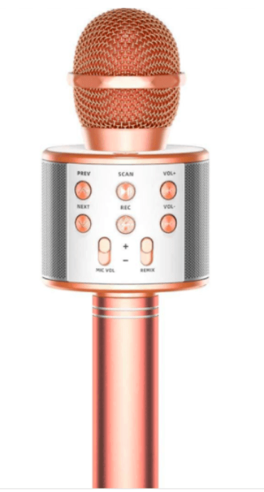 Wster WS-858 Wireless Karaoke Microphone User Guide-main