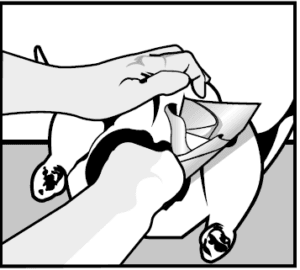 Butterball MB23010118 Electric Turkey Fryer User Manual Butterball MB23010118 Electric Turkey Fryer User Manual-14