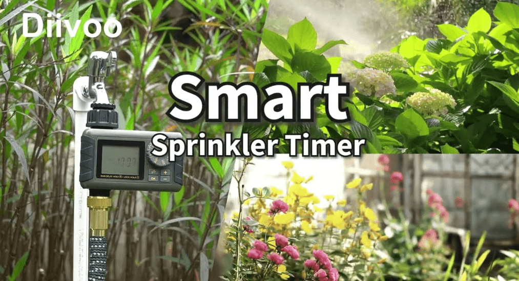 Diivoo WT-01 Automatic Water Timer User Manual