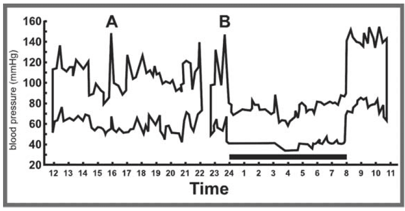 Equate HL858CE Blood Pressure Monitor Instruction Manual Equate HL858CE Blood Pressure Monitor Instruction Manual-1