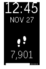 Fitbit Charge 2 Fitness Smartwatch User Manual-15