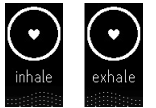 Fitbit Charge 2 Fitness Smartwatch User Manual-18