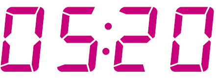 Instant Pot Duo Mini Multi-Use Pressure Cooker User Manual | ManualsLibraryy