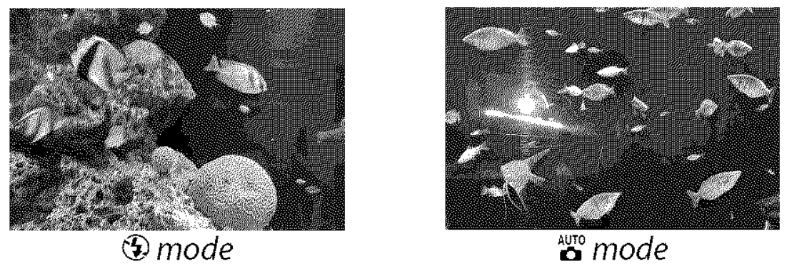 Nikon D3000 Digital Camera User Manual-23