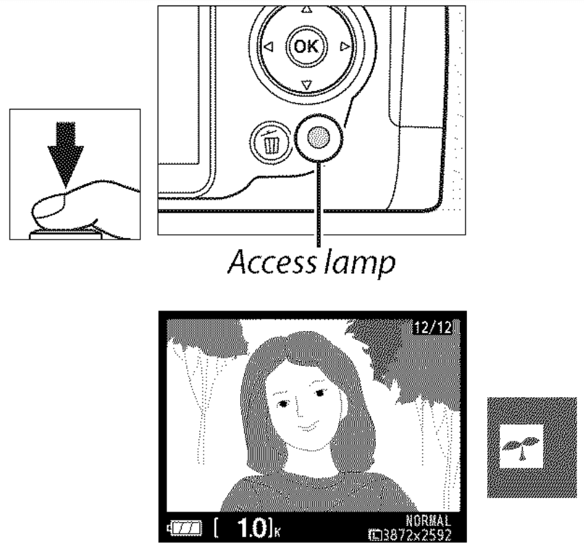 Nikon D3000 Digital Camera User Manual-31
