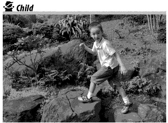 Nikon D3000 Digital Camera User Manual-34