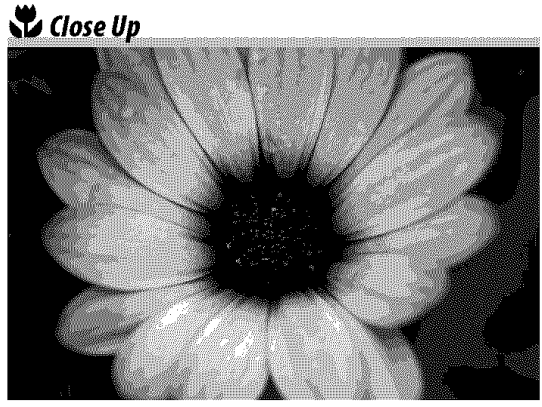 Nikon D3000 Digital Camera User Manual-35