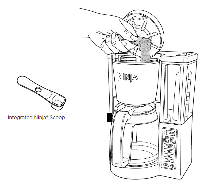 Ninja CE251 12-Cup Coffee Brewer User Guide Ninja CE251 12-Cup Coffee Brewer-6