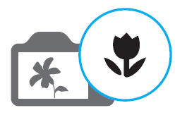 Samsung WB1100F Smart Wi-Fi Digital Camera 59