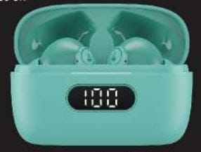 boAt Airdopes 121 PRO TWS Earbuds User Manual boAt Airdopes 121 PRO TWS Earbuds 6