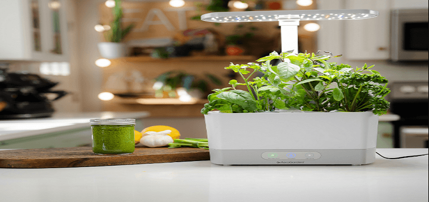 AeroGarden Harvest XL Herbs Seed Pod Kit User Guide AeroGarden Harvest XL Herbs Seed Pod Kit User Guide | ManualsLibraryy