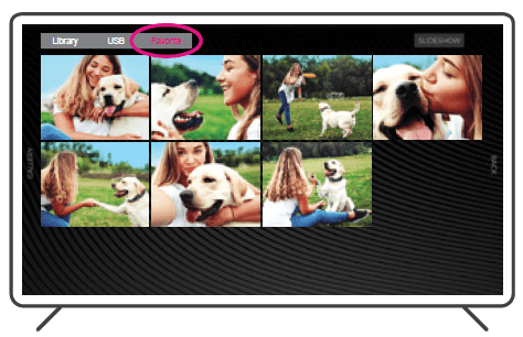 Aluratek PicStick Wireless HDTV Photo Video Viewer 29
