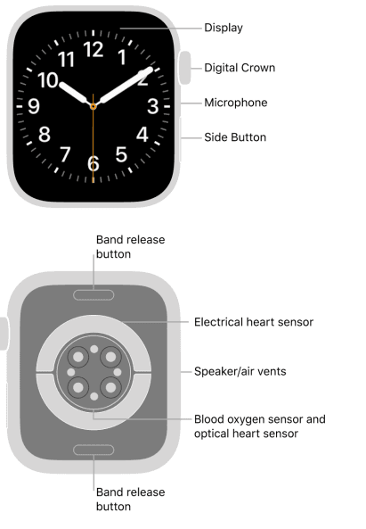 Apple Watch Series 8 1