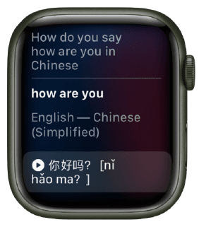 Apple Watch Series 8 18