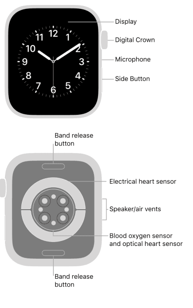 Apple Watch Series 8 2