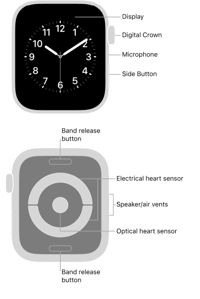 Apple Watch Series 8 4