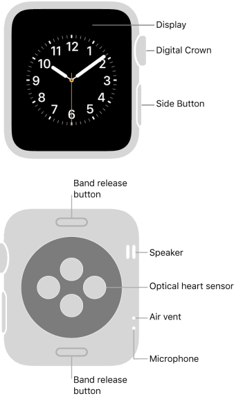 Apple Watch Series 8 5