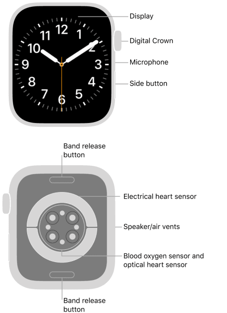 Apple Watch User Guide Series 1