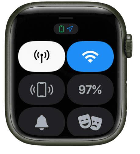 Apple Watch User Guide Series 9 | ManualsLibraryy