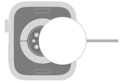 Apple Watch User Guide Series 21