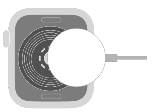 Apple Watch User Guide Series 22