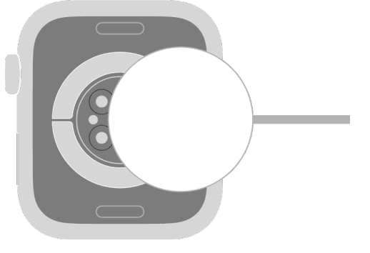 Apple Watch User Guide Series 24