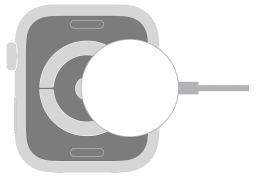 Apple Watch User Guide Series 26