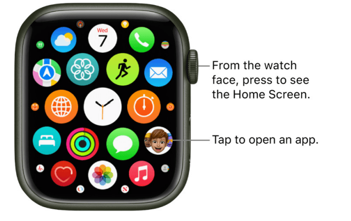 Apple Watch User Guide Series 32