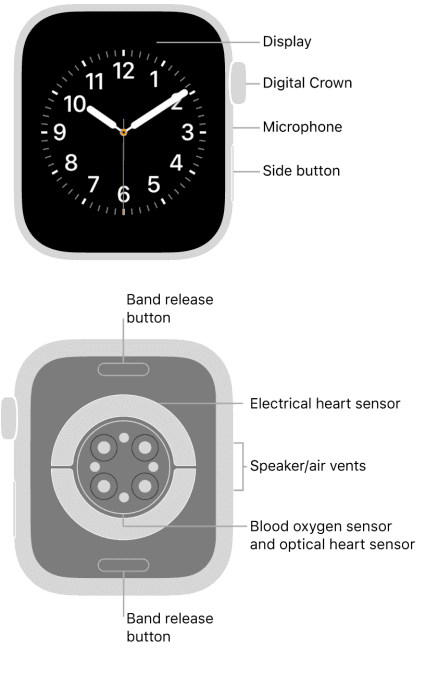 Apple Watch User Guide Series 4