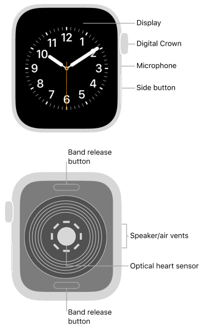 Apple Watch User Guide Series 5