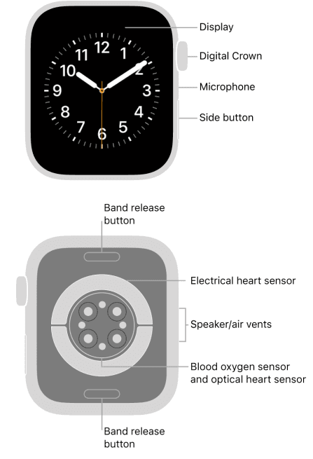 Apple Watch User Guide Series 6