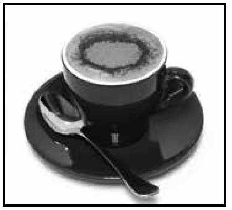 Breville BES870XL Barista Express 32