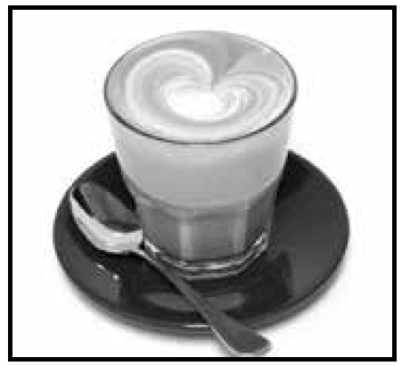 Breville BES870XL Barista Express 34