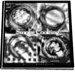 Brinkmann SMOKE N GRILL DS-30 Charcoal Grill User Manual-13