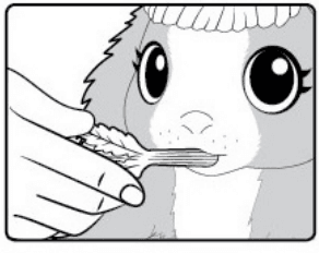 Moose Toys Little Live Pets Mama Guinea Pig Surprise Manual Moose Toys Little Live Pets Mama Guinea Pig Surprise Manual-9