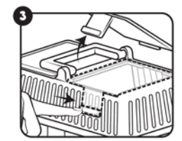 Moose Toys Little Live Pets Mama Surprise Manual-11