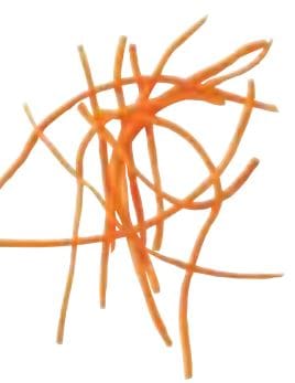 OXO Good Grips Mandoline Slicer 13