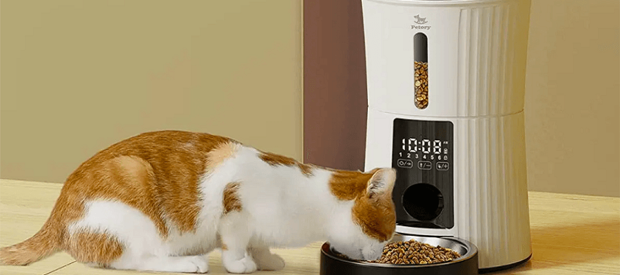 Petory F01 Automatic Pet Feeder User Manual Petory F01 Automatic Pet Feeder User Manual-feat