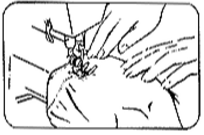 Singer 30215 Sewing Machine Instruction Manual-6