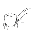 Waterpik WP-250 and 300 Series Water Flosser User Manual Waterpik WP-250 and 300 Series Water Flosser User Manual-9