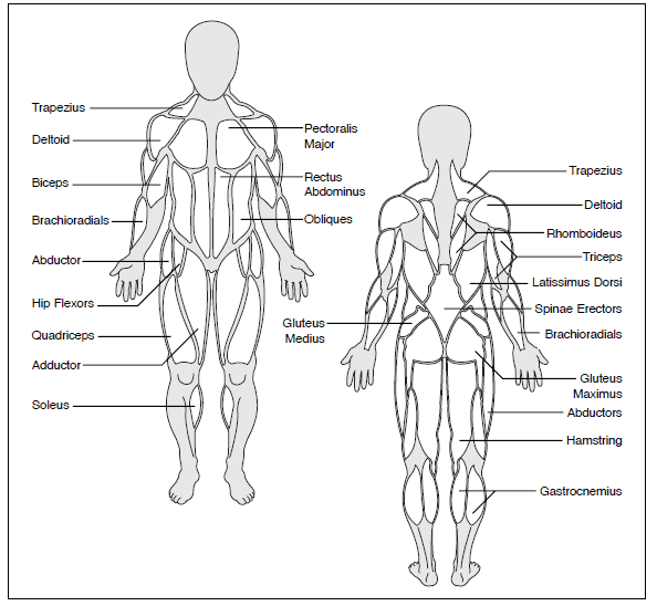 Weider 148 Home Gym Weight Bench User Manual-27