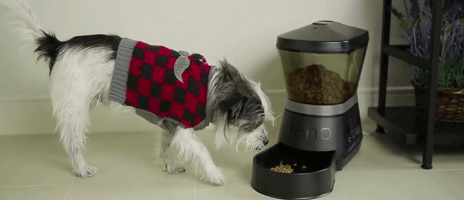 Gamma2 NANO Programmable Automated Pet Feeder User Manual-feat