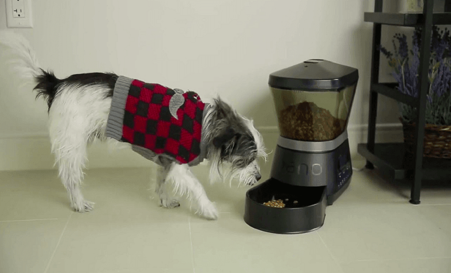 Gamma2 NANO Programmable Automated Pet Feeder User Manual-feat