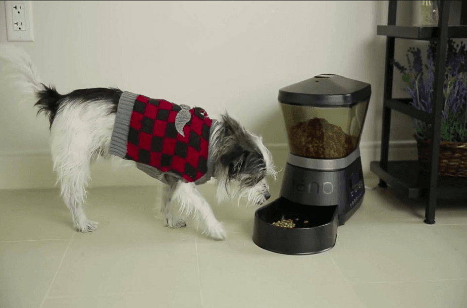 Gamma2 NANO Programmable Automated Pet Feeder User Manual