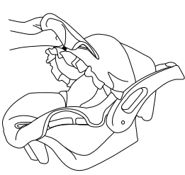 Graco 41413ZOL Baby Car Seat Instruction Manual Graco 41413ZOL Baby Car Seat 19