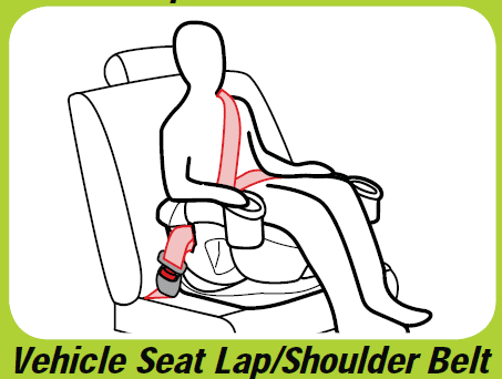 Graco 4Ever All-in-one Car Seat User Manual Graco 4Ever All-in-one Car Seat 43