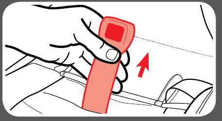 Graco 4Ever All-in-one Car Seat User Manual Graco 4Ever All-in-one Car Seat 54