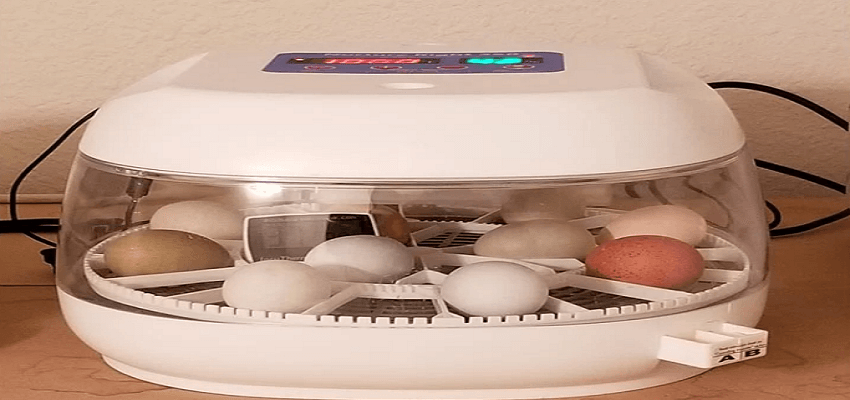 MannaPro Harris Farms Nurture Right 360 Egg Incubator Instructions | ManualsLibraryy